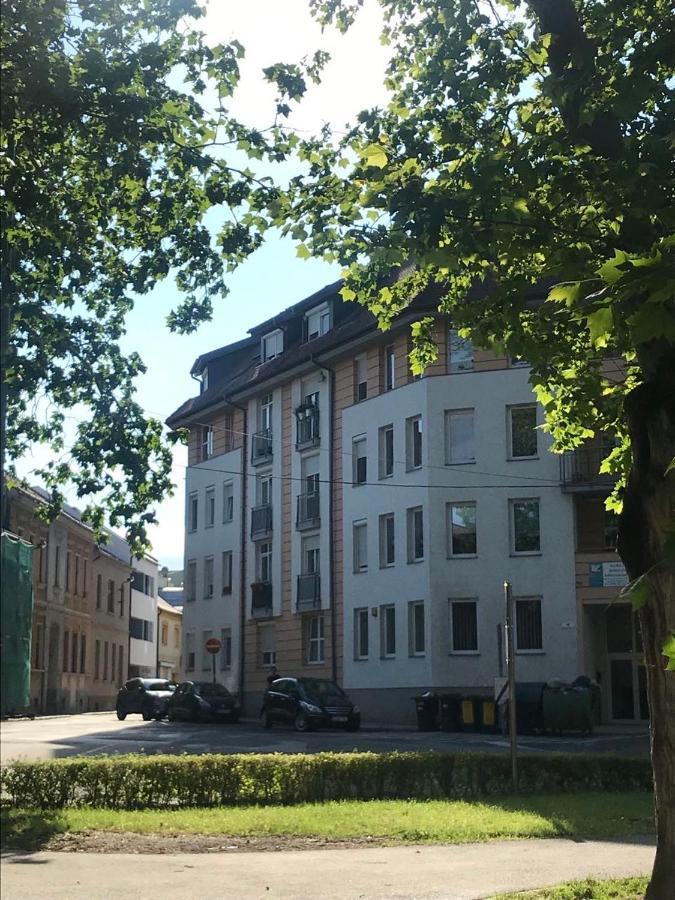 Gyöngy Apartman Sopron Dış mekan fotoğraf